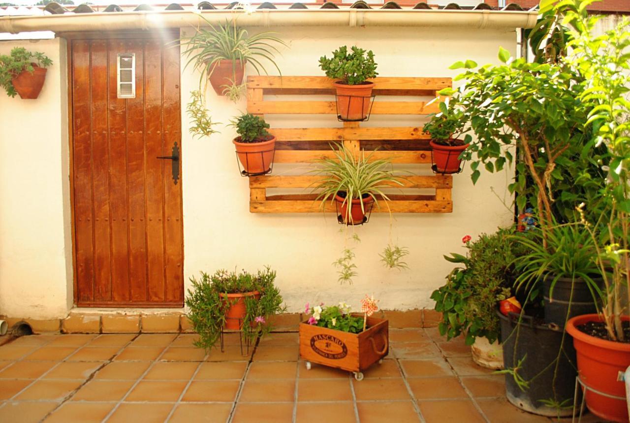 Habitacion Con Patio En Piso Compartido Capellades Zewnętrze zdjęcie